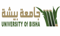 جامعة بيشة | منطقة عسير