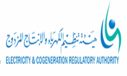 هيئة تنظيم الكهرباء والإنتاج المزدوج
